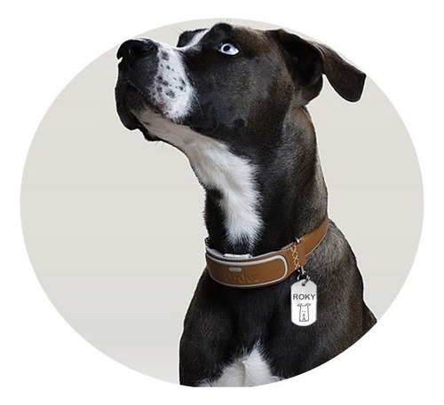 Placa Personalizada Identificación Mascotas Llavero Regalo