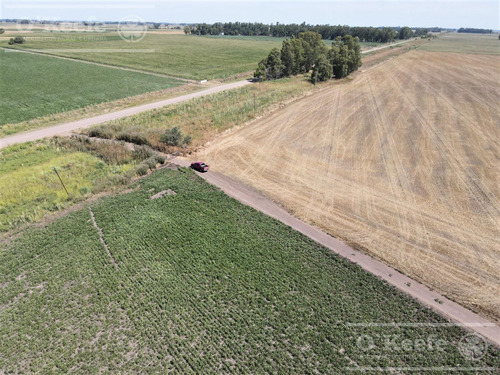 Campo En Venta Mixto De 246 Has En Saladillo