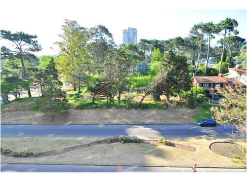 Imagen 27 de 30 de Muy Lindo Departamento - Punta Del Este Roosevelt