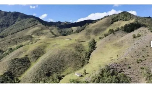 Bloque De 123 Hectareas Para Aguacate Hass En Abejorral