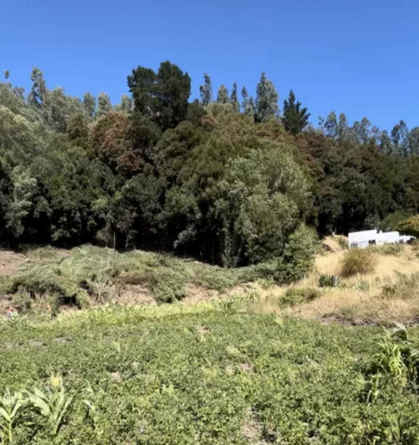 Parcela En Arauco A Pasos De Extensa Playa (92707)