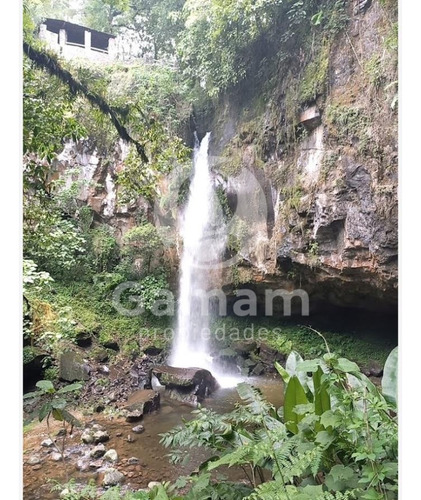 Terreno En Venta En El Texme Con Centro Ecoturistico Operativo