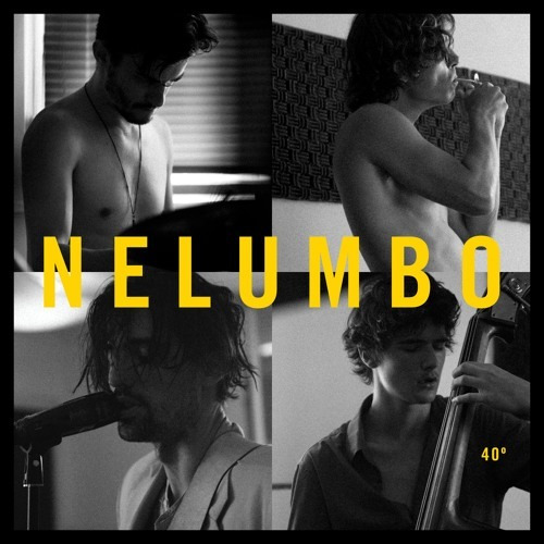 Nelumbo - 40° - Cd Nuevo