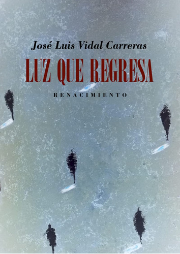 Libro Luz Que Regresa