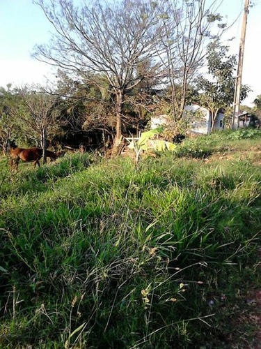 Imagem 6 de 10 de Terrenos - Ref: V4690