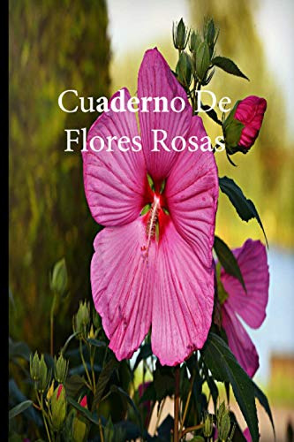 Cuaderno De Flores Rosas: Lleve Un Registro De Todas Sus Act