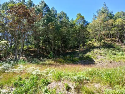 Lote y casalote en venta