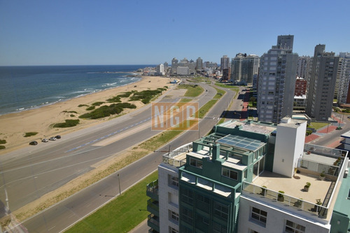 Oportunidad Única  Con Barbacoa Piscina Y Gym Frente Al Mar