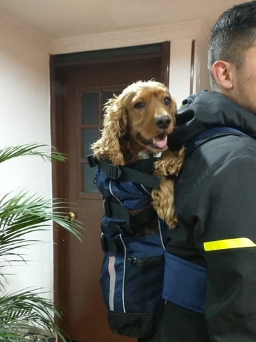 Mochila Transportadora Para Perros Pequeño,mediano,grande