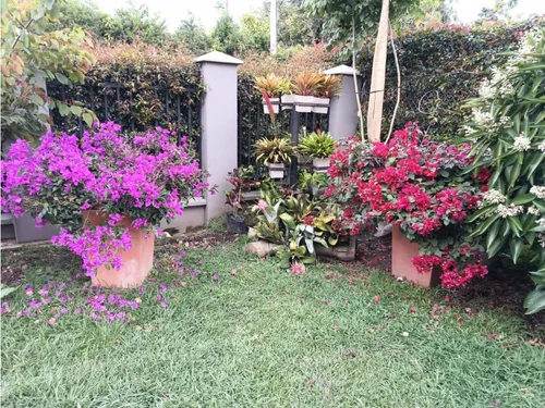 Encantadora Casa Campestre En Venta Llanogrande