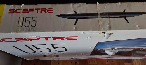 Tv 55 Como Nueva!