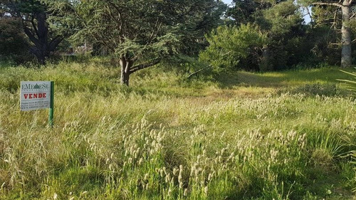 Terreno - Golf Viejo