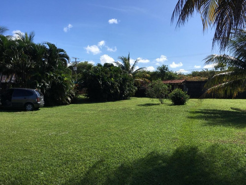 Imagem 10 de 12 de Terreno No Loteamento Quintas Do Picuaia - Te00078 - 32783624