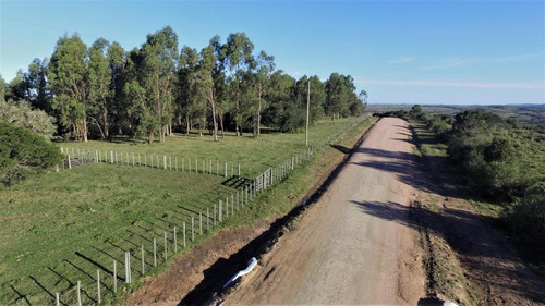 Campo - Otras