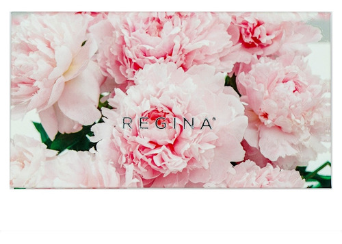 Imagen 5 de 6 de Paleta De Sombras Piel Abc Maquillaje Regina