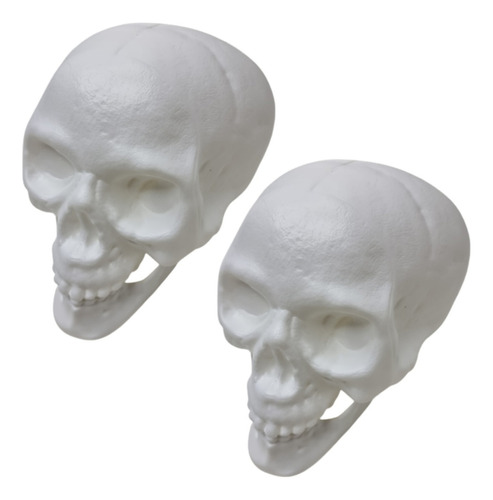 Kit 2 Cranio Caveira Esqueleto Decorativo Plastico Halloween Cor Branco