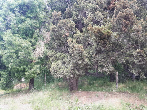 Imagen 8 de 18 de Terreno - Cerro Runge
