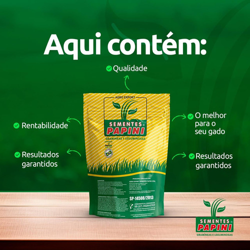Sementes Premium Campo Grande Brs- Piatã - Incrustada