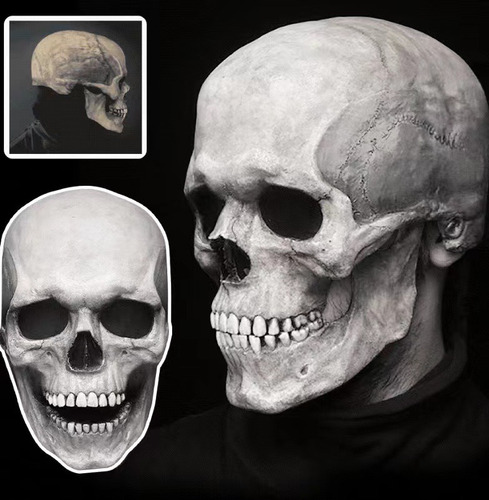 Mascara Craneo Completa Halloween De Esqueleto Cabeza