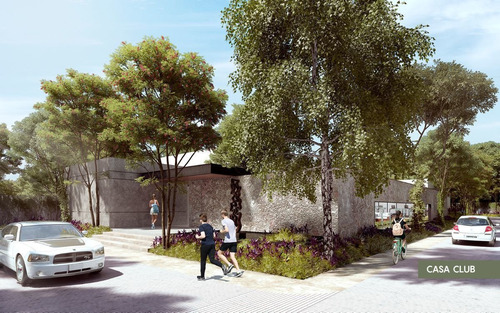 Imagen 6 de 18 de Olivia Lotes Residenciales