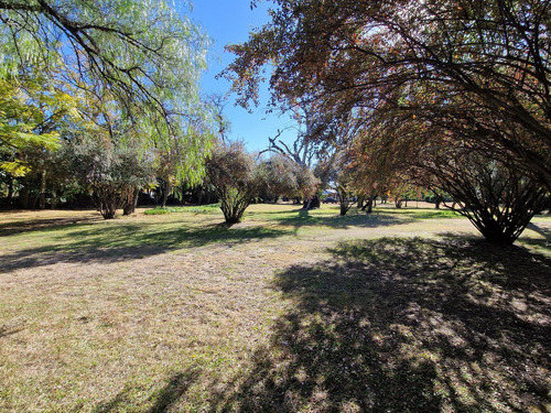 En Venta Dos Casas, Dos Piletas, Cancha De Pádel, Parque De 2 Hectáreas En San Javier, Traslasierra!!