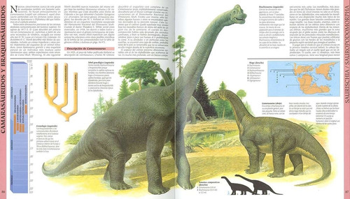 Atlas Ilustrado De Los Dinosaurios