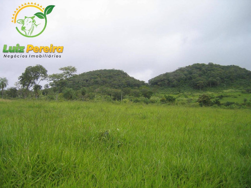 Imagem 1 de 5 de Fazenda À Venda Em Jardim - Ms - De 700 Hec/planta 500 Hectares De Soja - 1770