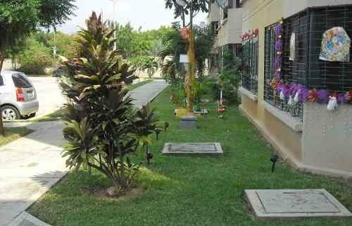 Imagen 10 de 10 de Servicio De Jardinería