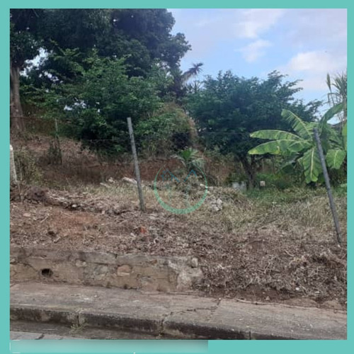 Imagen 4 de 5 de Terreno En Venta En El Centro De Charallave