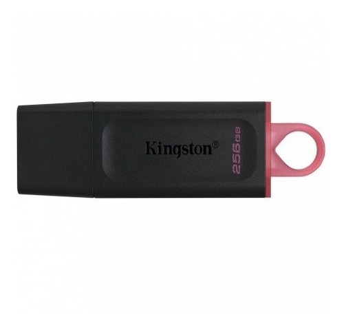 Imagen 3 de 4 de Memoria USB 3.2 de alta Velocidad kingston DataTraveler DTX/256GB