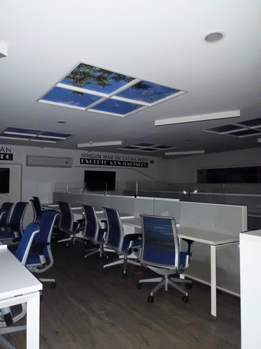 Rento Oficinas Amuebladas 475 M2, Con Varios Privados En Lomas De Chapultepec