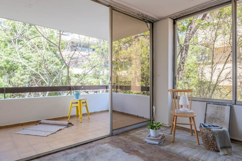 Imagen 7 de 29 de Espectacular Para Remodelar En Avd. Pocuro