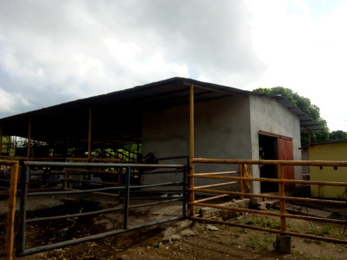 Imagen 3 de 27 de Se Vende Finca En Caicara De Maturin Sec Bajo Gde Ve02-1143cai-mtru