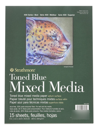 Strathmore Serie Toned Blue Mixed Mediapad Pegamento Hoja