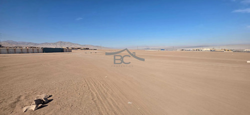 Se Arrienda Terreno En La Negra, 7.500 M². (175240)