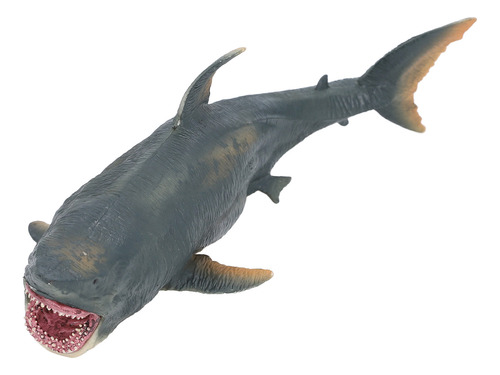 Modelo De Juguete Educativo Con Forma De Pez Marino, Realist