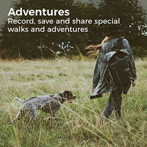 Link Akc Smart Dog Collar Gps Location Tracker, Activity