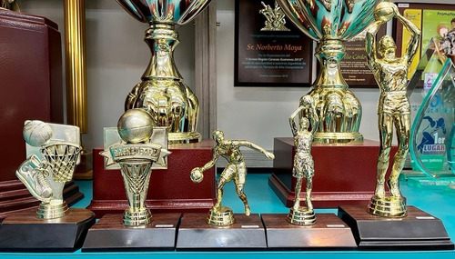 Imagen 1 de 1 de Trofeos Figura Básquetbol