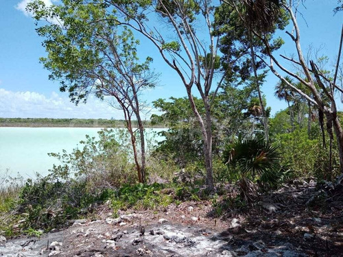 Imagen 10 de 18 de Terreno En Venta Frente A Laguna Chile Verde Cerca De Chetumal Em02021