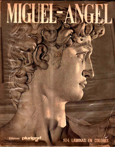 Miguel Angel - Livro - Loretta Santini