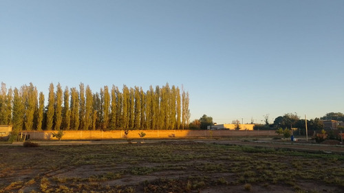 Lotes San Rafael- Paseo Salas Barrio Abierto