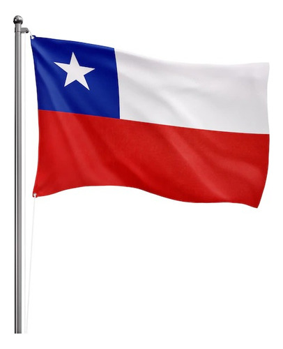 Bandera Chilena 2,9 X 4,5 Mts Tela Bordada Reforzada Chile