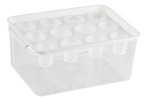 Caja De Hidropónico, Contenedor De Plantación Con