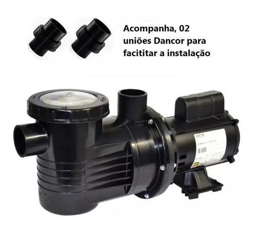 Bomba Dancor Pf-17 Para Piscina De 3/4 Cv 110/ 220 V