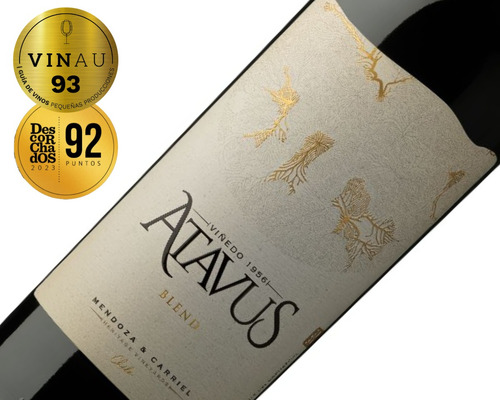Vino Premium Atavus Blend Valle Cachapoal Viña Boutique 