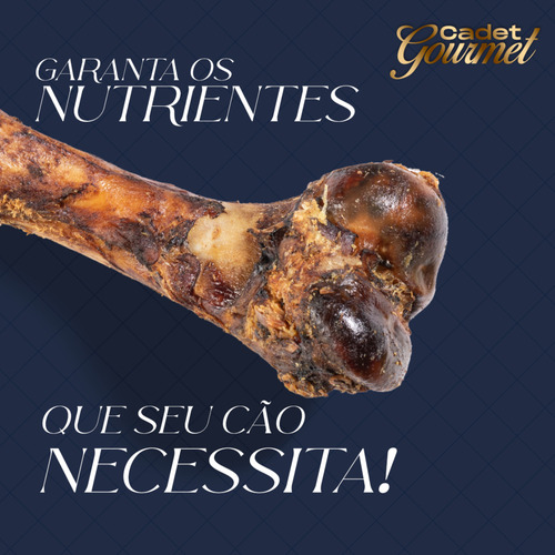 Kit 10 Fêmur Suína Osso Natural Desidratada Para Cães Cadet