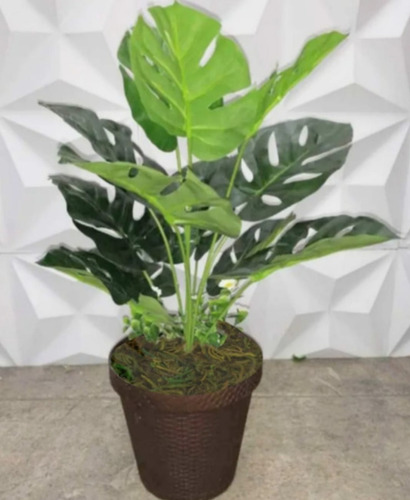 Planta Monstera - Costilla De Adán Artificial Con Maceta