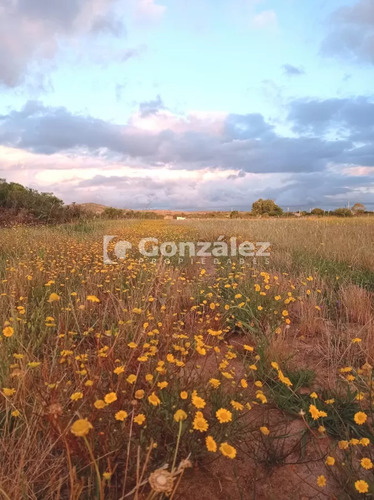 Terreno Km 110, Paso Gerona, Vistas A Las Sierras