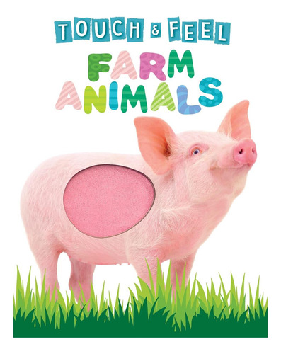 Libro: Touch And Feel Farm Animals Novelty Book Children