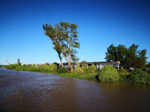 Imagen 22 de 29 de Campo De Isla Ganadero, 2.000 Has Sobre El Paranacito